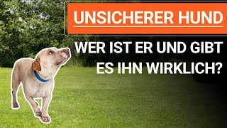 💥🐶 Was bedeutet UNSICHERER HUND und gibt es ihn wirklich ➡️ Erklärvideo 🐶💥✔️ [upl. by Lenoyl53]