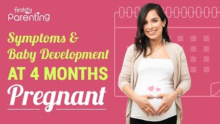 4 Months of Pregnancy Signs and Baby Development [upl. by Hylan]