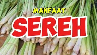 Manfaat Sereh Wangi Cymbopogon nardus untuk Kesehatan [upl. by Ricker]