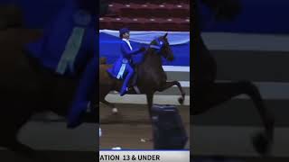 isabelle fischer the rider you are 🤍  saddlebred saddleseat equestrian [upl. by Annij]