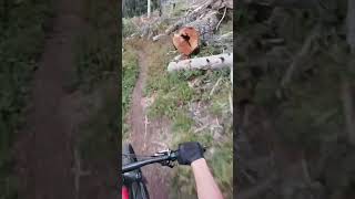 Shuttling up in￼ Pagosa Springs mtb downhill shread [upl. by Ettesoj]