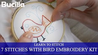 Learn 7 Embroidery Stitches with Bucilla Learn to Stitch Kit [upl. by Hayalat903]