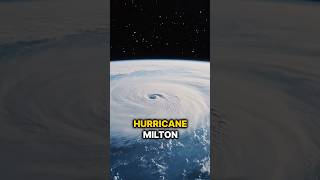 Random Facts Hurricane Milton shorts [upl. by Assert844]