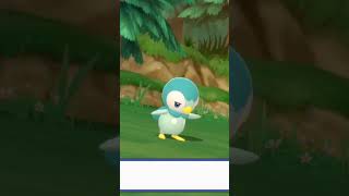 ♡Shiny Piplup in 116 resets in BDSP♡ shinypokemon [upl. by Aoht]