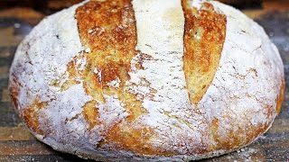 Crusty NoKnead Artisan Bread  How to make noknead bread [upl. by Inej278]