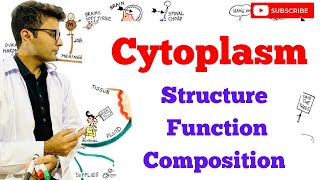 Cytoplasm  Structure  Composition  Function [upl. by Llenrev]