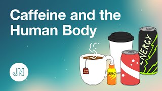 How does caffeine work in your body Animated explainer [upl. by Akeihsat]