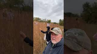 Picking Big Bluestem p2 [upl. by Anod]