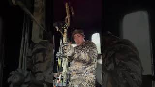 Bow Hunting Decisions archery deerhunting bowhunting letemgoletemgrow [upl. by Launam]