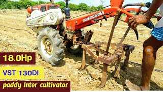 agriculture tiller  power tiller  paddy cultivator  mini tractor  small tractor  VST shakti [upl. by O'Hara168]