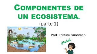 Componentes de un ecosistema Parte 1 Concepto Biotopo y Biocenosis [upl. by Evan]