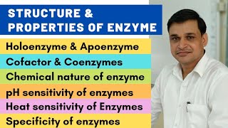 Structure and properties of enzymes  Cofactors and coenzymes [upl. by Cyndi985]