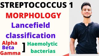 Streptococcus microbiology Lancefield classification of Streptococcus Camp Test [upl. by Adnael809]