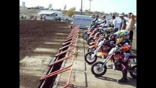 50cc Pee Wee Motocross Race [upl. by Omora]