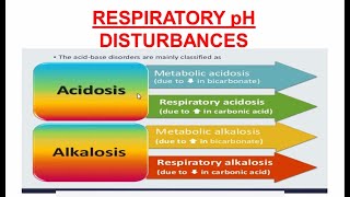 Respiratory Acidosis and Alkalosis  Respiratory pH Disturbances [upl. by Aronos]