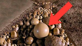 Hikers Find Strange Stones In Cave  When Expert Sees It He Turns Pale [upl. by Josephson]