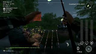 Fishing Planet  Neherrin  Redfin Pickerel Trophy [upl. by Hgielah296]