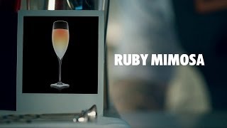 RUBY MIMOSA DRINK RECIPE  HOW TO MIX [upl. by Llertrac]