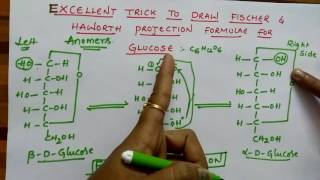 Fischer amp Haworth projection formulae for Glucose Biomolecules class 12 chemistry [upl. by Richia]