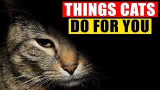 7 Protective Behaviors Cats Use to Keep You Safe [upl. by Darra]