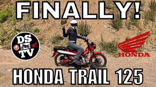 Honda Trail 125 CT 125 Full On and Off Road Test and Review  Best Mini Moto [upl. by Iams890]