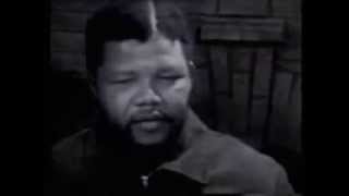 Black President  Brenda Fassie Official Video [upl. by Annhej288]