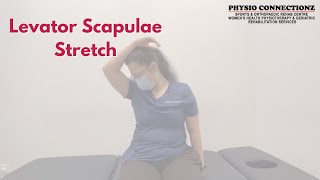 Levator Scapulae Stretch [upl. by Enait]