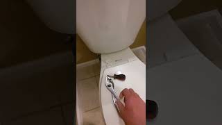 How To Tighten A Loose Toilet Seat you can use your fingers shorts [upl. by Daile296]