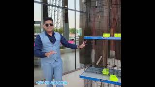 MBS Bird Cages Heavy duty Stackable Towers birdlovers pets birdcages birdcare birds petcare [upl. by Nylekoorb]