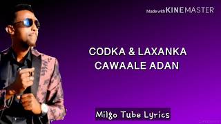 AWALE ADAN HEES CUSUB JIGJIGA 2019 LYRICS [upl. by Kcirdahs]