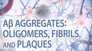 Aβ aggregates oligomers fibrils amp plaques  Alzheimer’s disease  medical animation [upl. by Rafaelof10]