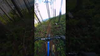 Mind MELTING Trail SO GOOD [upl. by Ripley]