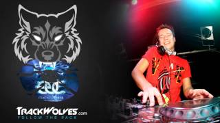 Sander van Doorn  Live  Electric Daisy Carnival EDC Chicago 2013  26052013 [upl. by Mikol]