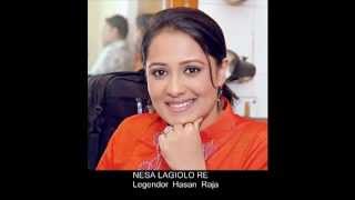 TAPAN ROYBengali Folk SongNISHA LAGILO RE HASAN RAJAR GAANSYLHETflv [upl. by Lemal]