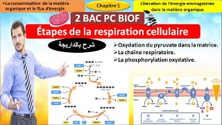 Les étapes de la respiration cellulaire svt 2 bac pc BIOF شرح بالداريجة [upl. by Auqinahs]