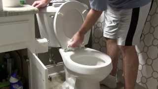 How to Clean a Toilet the Proper Way [upl. by Jamill]