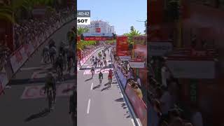 🥳 Grande première pour Van Aert sur la Vuelta cycling vuelta shorts [upl. by Godfry703]