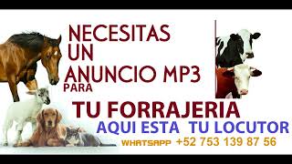 anuncios para forrajera aquí te lo grabamos WhatsApp 527531398756 locutor Jordi Palacios [upl. by Hanahsuar]