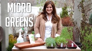 How to Grow Microgreens [upl. by Oeramed]