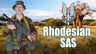 RhSAS Uniforms amp Equipment Rhodesian Bush War Brushstroke Camouflage  P6164 P69 [upl. by Irneh]