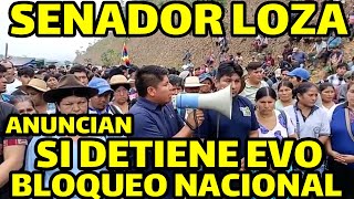 SENADOR LOZA DENUNCIA QUE GOBIERNO HABRIA DETERMINADO DETENER EVO MORALES SI VA TARIJA [upl. by Ahsimat]