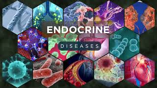 Endocrine Diseases Explained – Causes Symptoms amp Treatments [upl. by Rramo]