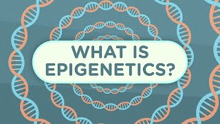 What Is Epigenetics  Epigenetics Part 1 [upl. by Kimbell519]