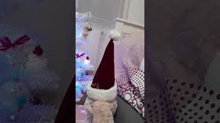 Ideal Christmas👌 bunnycutechristmastree [upl. by Sielen158]