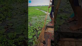 Boat Fishing Video 2024 part 132shortsshortvideo viral viralvideo fishing fishboatfishing [upl. by Oiramej874]