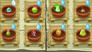 Animated plants in Zen garden  plants vs zombies 2 [upl. by Ressan]