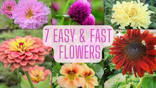 7 Easy amp Fast Flowers To Grow From Seed Beginner Friendly Annual Flowers [upl. by Yreffoeg]