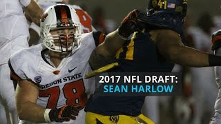 2017 NFL Draft Atlanta Falcons select Oregon State OL Sean Harlow [upl. by Willi]