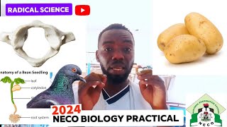 NECO 2024 Biology practical questions and answers tutorial [upl. by Icnan435]