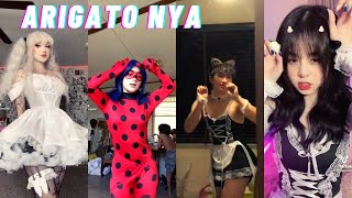 Cute Arigato Nya Challenge  Tik Tok Compilations [upl. by Ahsenek183]